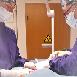 Chirurgie der Kleintierpraxis Ochshausen - Claudia Handley - in Lohfelden bei Kassel