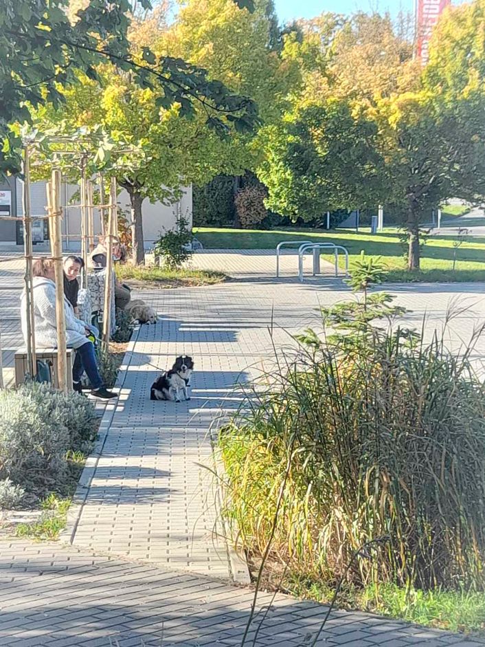 Die Praxisräume der Kleintierpraxis Ochshausen - Claudia Handley - in Lohfelden bei Kassel