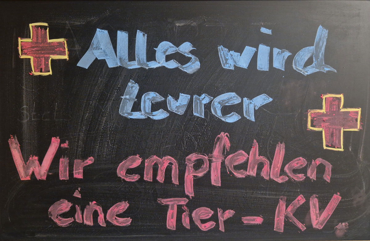 Aktuelles aus der Kleintierpraxis Ochshausen - Claudia Handley - in Lohfelden bei Kassel